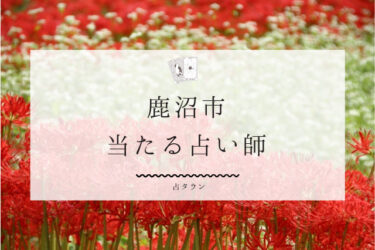 鹿沼市で占い。当たる占い師4人の口コミ・評判まとめ【2024年最新】