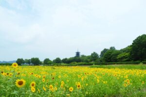 総社市周辺の占いスポット