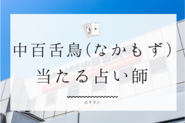 中百舌鳥(なかもず)の占い！よく当たる占い師の口コミ＆評判まとめ