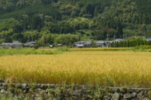 亀岡市周辺の当たる占いスポット