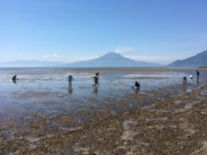 姶良市周辺の当たる占いスポット